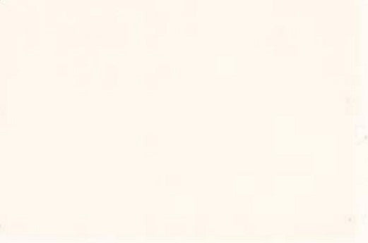 Caran D'Ache Neocolor II Water-Soluble Pastel 001 White