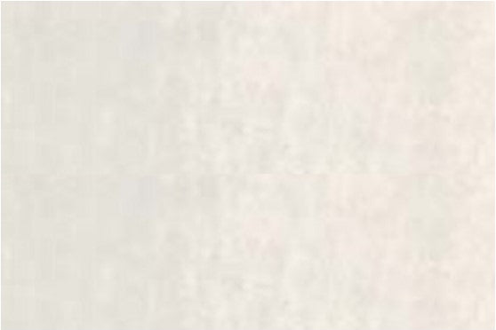 CARAN D'ACHE NEOCOLOR II WATER-SOLUBLE PASTEL 002 SILVER GREY