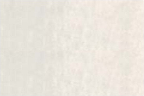 CARAN D'ACHE NEOCOLOR II WATER-SOLUBLE PASTEL 002 SILVER GREY