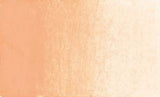 Caran D'Ache Neocolor II Water-Soluble Pastel 051 Salmon