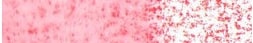 CARAN D'ACHE NEOCOLOR II WATER-SOLUBLE PASTEL 085 BORDEAUX RED