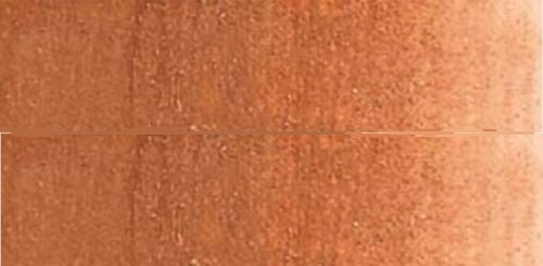 Caran D'Ache Neocolor II Water-Soluble Pastel 497 Bronze