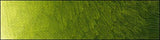 Old Holland Oil Paint Old Holland Golden Green Deep 40ml