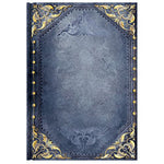 Paperblanks Hardcover Lined Notebook Peacock Punk Midi