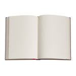 PAPERBLANKS HARDCOVER NOTEBOOK VAN GOGH'S IRISES UNLINED
