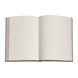 PAPERBLANKS HARDCOVER NOTEBOOK VAN GOGH'S IRISES UNLINED