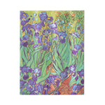 PAPERBLANKS HARDCOVER NOTEBOOK VAN GOGH'S IRISES UNLINED