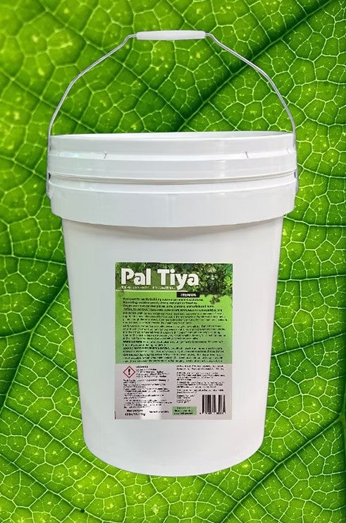 Pal Tiya Premium Sculpting Medium