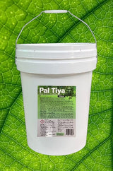 Pal Tiya Premium Sculpting Medium 1kg