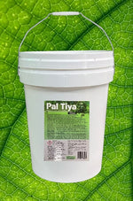 Pal Tiya Premium Sculpting Medium