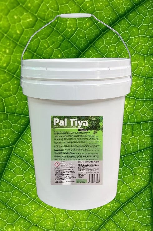 Pal Tiya Premium Sculpting Medium 4kg