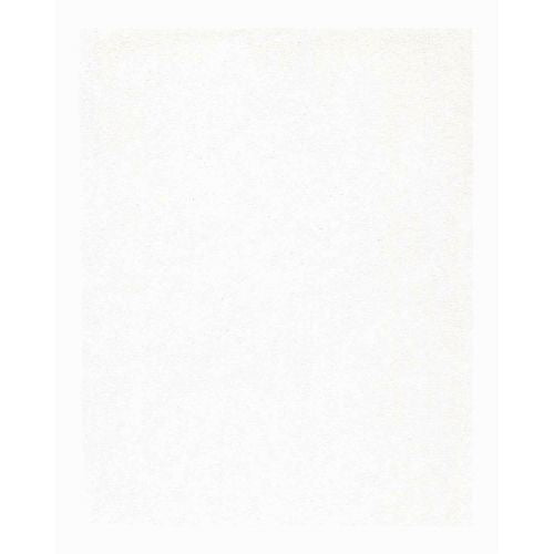 PAN PASTEL ARTISTS' PASTEL 100.5 TITANIUM WHITE