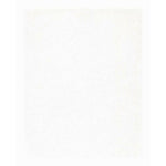 PAN PASTEL ARTISTS' PASTEL 100.5 TITANIUM WHITE