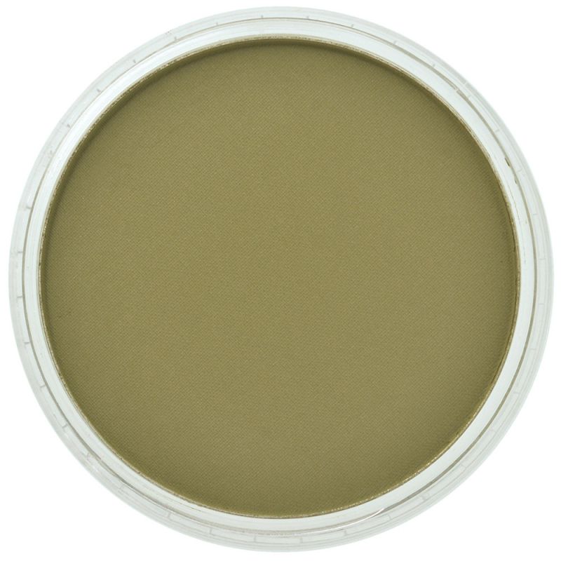 PAN PASTEL ARTISTS' PASTEL 220.1 HANSA YELLOW EXTRA DARK