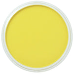 PAN PASTEL ARTISTS' PASTEL 220.5 HANSA YELLOW