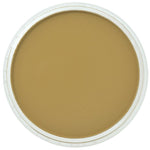 PAN PASTEL ARTISTS' PASTEL 270.3 YELLOW OXIDE SHADE