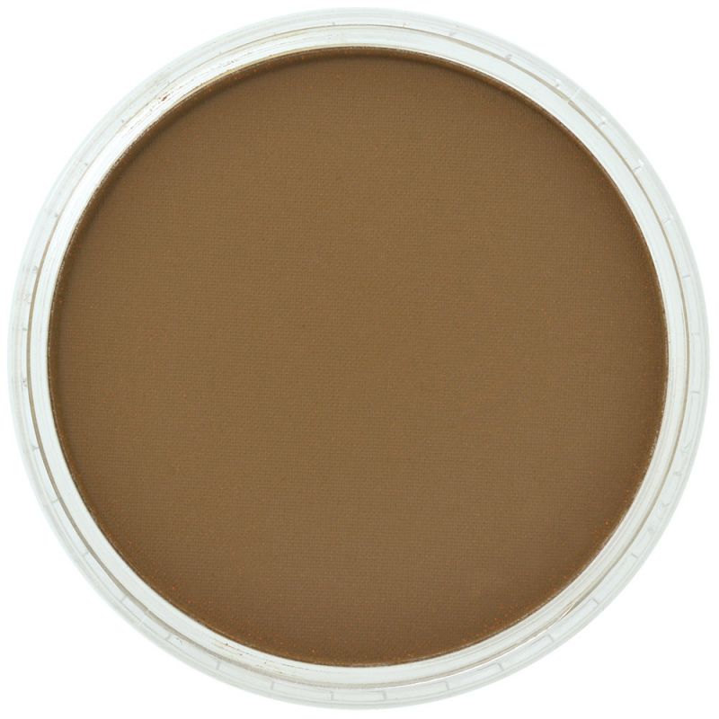 Pan Pastel Artists' Pastel 280.1 Orange Extra Dark