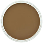 Pan Pastel Artists' Pastel 280.1 Orange Extra Dark