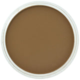 Pan Pastel Artists' Pastel 280.1 Orange Extra Dark