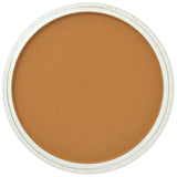 Pan Pastel Artists' Pastel 280.3 Orange Shade
