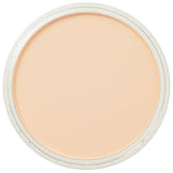 Pan Pastel Artists' Pastel 280.8 Orange Tint