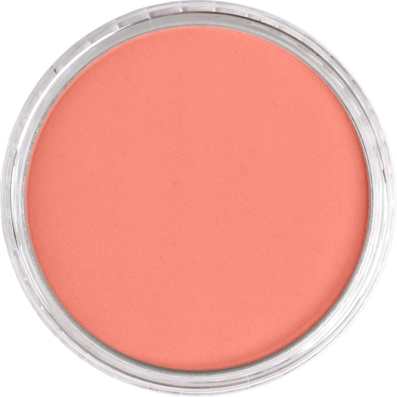PAN PASTEL ARTISTS' PASTEL 310.6 VERMILION MEDIUM
