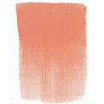 PAN PASTEL ARTISTS' PASTEL 310.6 VERMILION MEDIUM