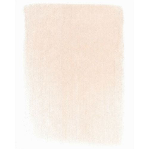 Pan Pastel Artists' Pastel 310.8 Vermilion Tint