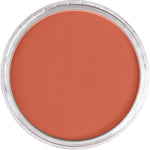 PAN PASTEL ARTISTS' PASTEL 380.7 RED IRON OXIDE LIGHT