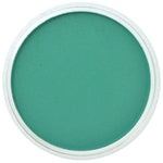 Pan Pastel Artists' Pastel 620.5 Phthalo Green