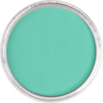 Pan Pastel Artists' Pastel 620.7 Phthalo Green Light