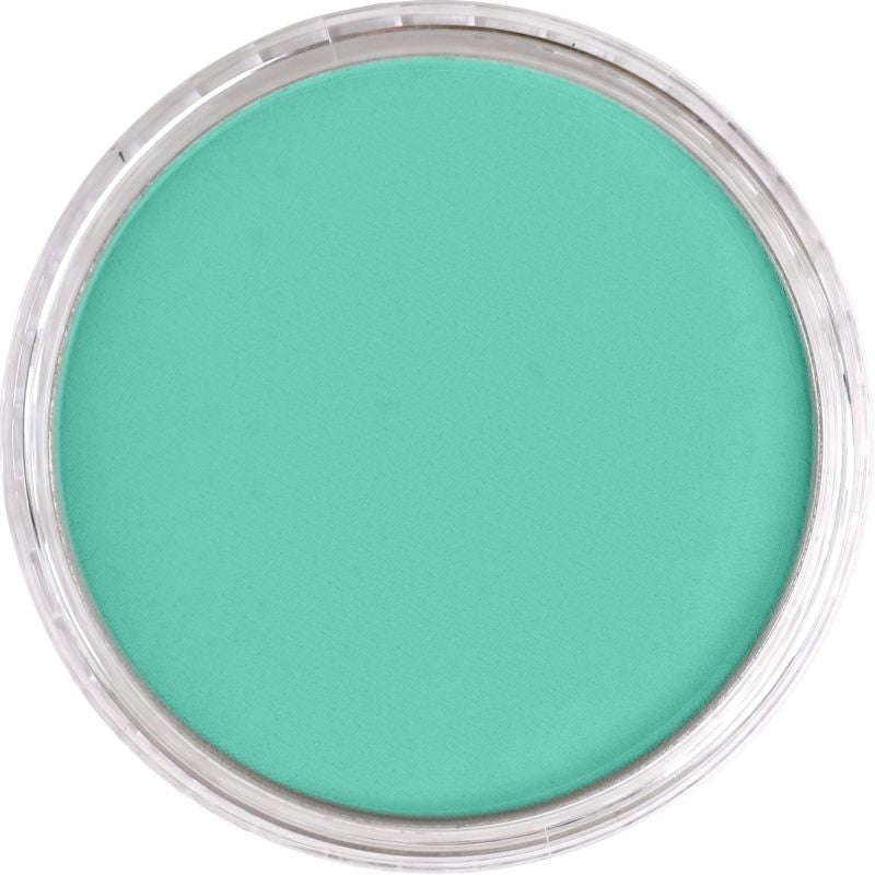 PAN PASTEL ARTISTS' PASTEL 620.7 PHTHALO GREEN LIGHT