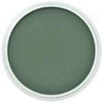 PAN PASTEL ARTISTS' PASTEL 640.1 PERMANENT GREEN EXTRA DARK