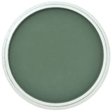 Pan Pastel Artists' Pastel 640.1 Permanent Green Extra Dark