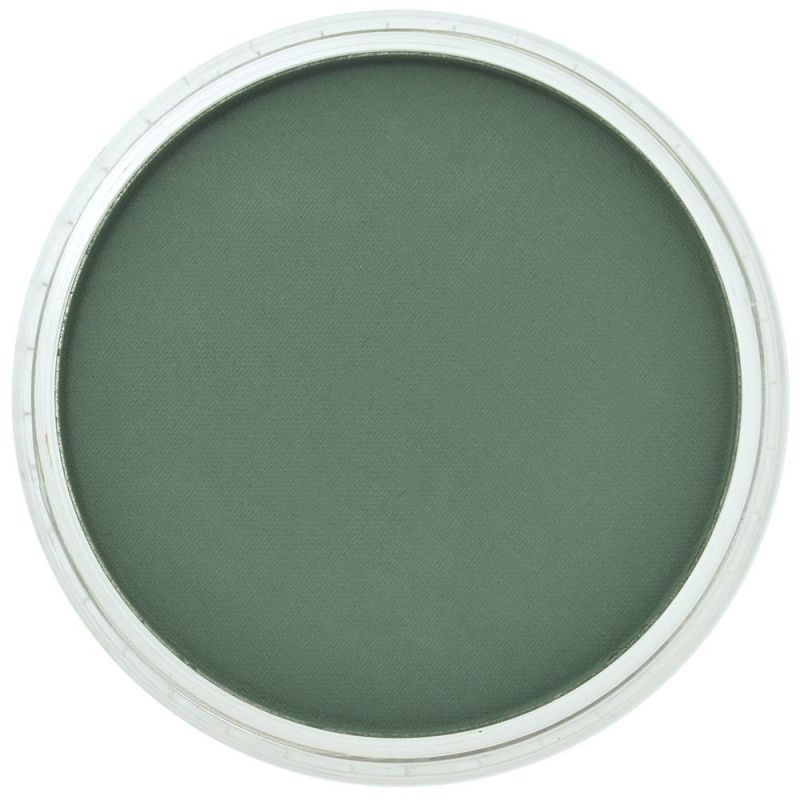 Pan Pastel Artists' Pastel 640.1 Permanent Green Extra Dark