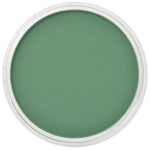 Pan Pastel Artists' Pastel 640.3 Permanent Green Shade