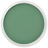 Pan Pastel Artists' Pastel 640.3 Permanent Green Shade