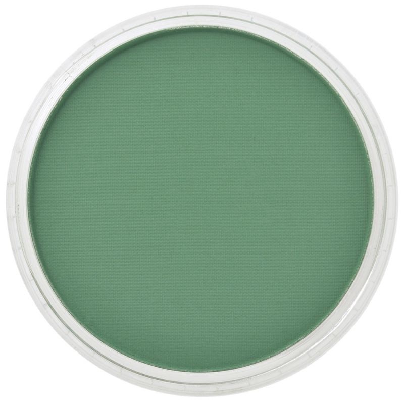 Pan Pastel Artists' Pastel 640.3 Permanent Green Shade