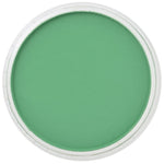Pan Pastel Artists' Pastel 640.5 Permanent Green