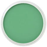 Pan Pastel Artists' Pastel 640.5 Permanent Green