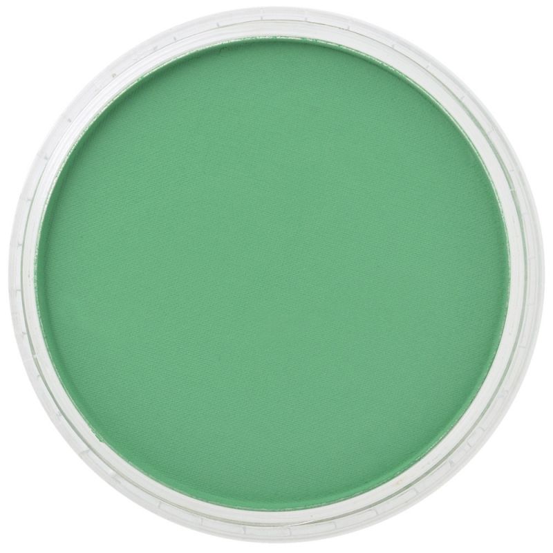 Pan Pastel Artists' Pastel 640.5 Permanent Green