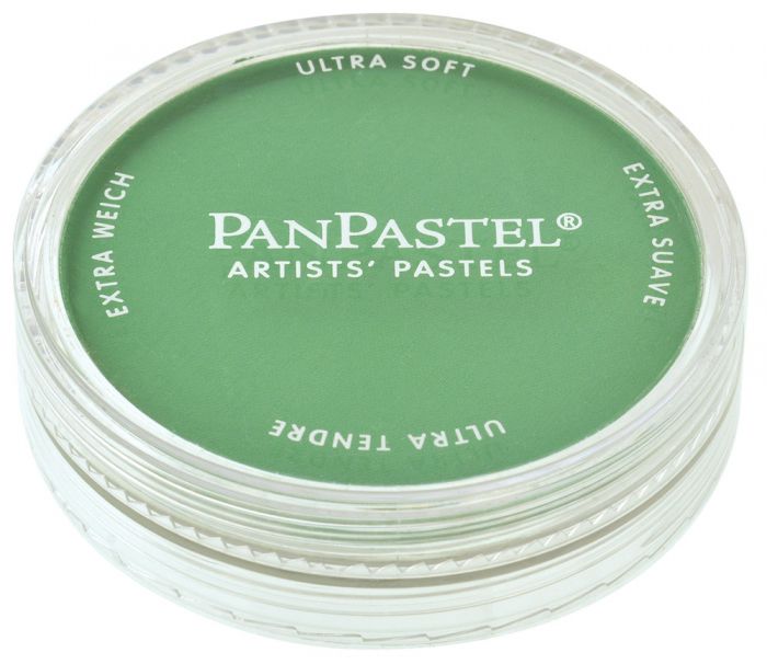 Pan Pastel Artists' Pastel 640.5 Permanent Green