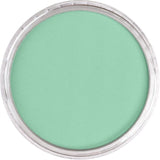 Pan Pastel Artists' Pastel 640.7 Permanent Green Light