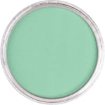 PAN PASTEL ARTISTS' PASTEL 640.7 PERMANENT GREEN LIGHT