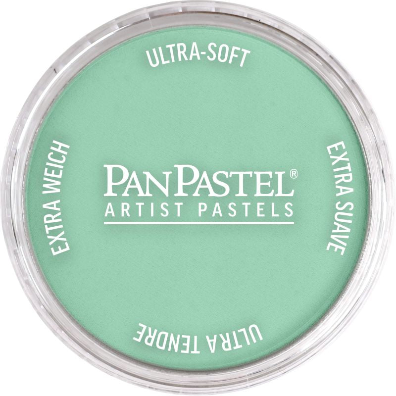 PAN PASTEL ARTISTS' PASTEL 640.7 PERMANENT GREEN LIGHT