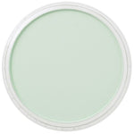 PAN PASTEL ARTISTS' PASTEL 640.8 PERMANENT GREEN TINT