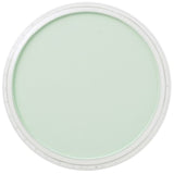 Pan Pastel Artists' Pastel 640.8 Permanent Green Tint