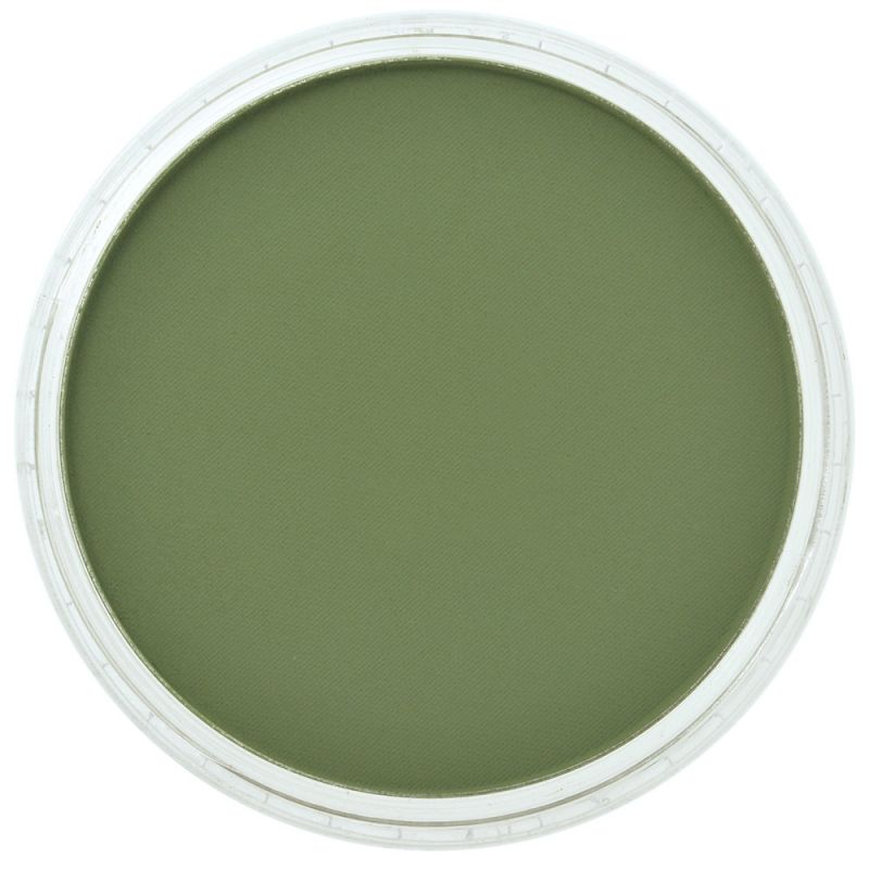 Pan Pastel Artists' Pastel 660.3 Chromium Oxide Green Shade