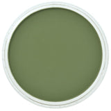 Pan Pastel Artists' Pastel 660.3 Chromium Oxide Green Shade
