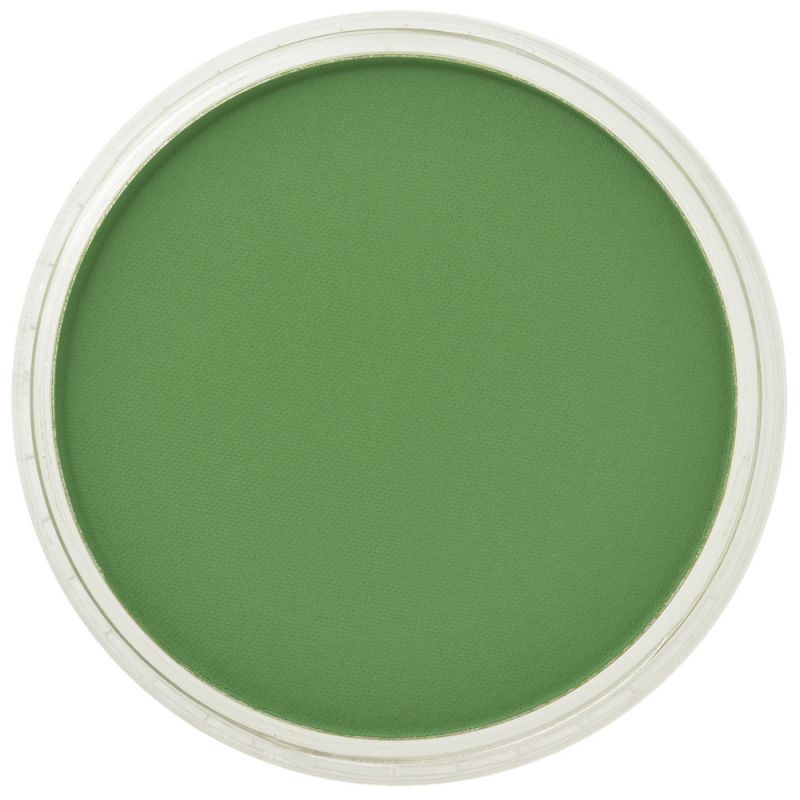 PAN PASTEL ARTISTS' PASTEL 660.5 CHROMIUM OXIDE GREEN